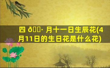 四 🌷 月十一日生辰花(4月11日的生日花是什么花)